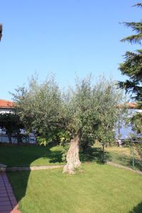 Apartment Umag 7125b