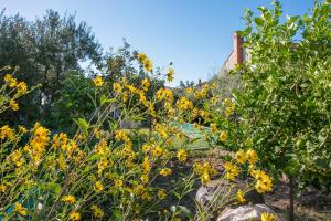 Apartment Seget Vranjica 1038b