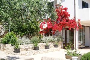 Apartment Zavala 553d