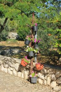 Studio Punta kriza 383b