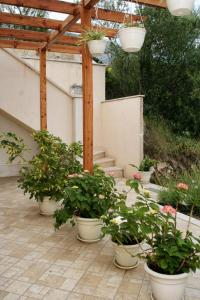 Apartment Orebic 4565e