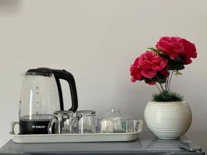 Silent Majesty Pyramids View INN