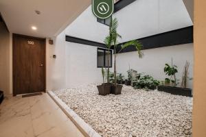 Brand New 2 BR Condo in Reforma - Queen Beds