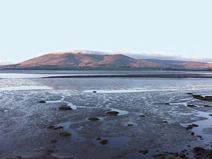 Myrtle Cottage - 28177