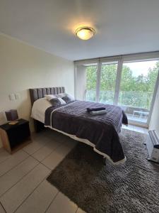 PROVIDENCIA PREMIUM DEPARTAMENTO con Parcking WIFI