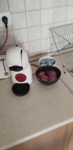 Apartment with garage, free parking