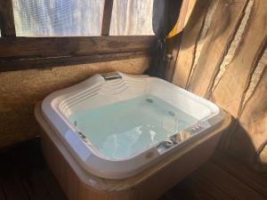 Large camper in the olive grove