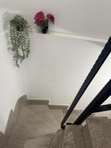 El Nido de Casa Nieves