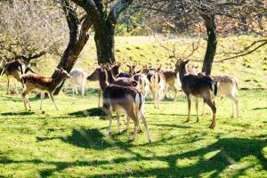 Boutique Tourist Farm Hrovat