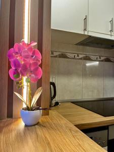 Novi Sad Premium Fair Apt - Fast WiFi