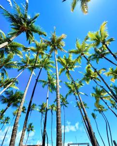 Pousada Maré Alta Pajuçara