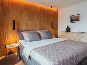 Modern Designer Retreat in Graz