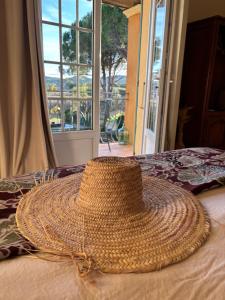 Le Mas des Vignes en Drome provençale