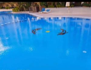 Florenza Khamsin Compound Deluxe Apartment C103