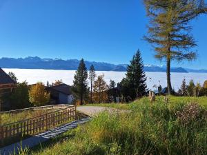 StrohGlück Rigi - traumhafte nachhaltige Ferienwohnungen mit toller Aussicht