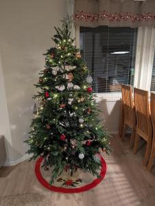 Villa Next to Santa Claus