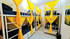 Elephant House - Heritage Hostel - Kashi Vishwanath Temple