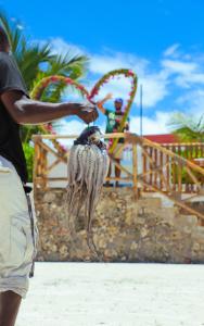 Zen-Zanzibar Beach Front Villa
