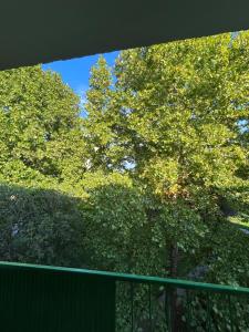 City-Centre appartment