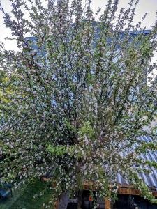 Calidez Bariloche, Zona Centro