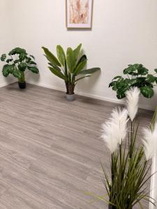 Work & Relax Apartments