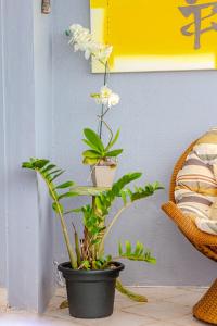 Beira mar pé na areia Barra Velha com Piscina