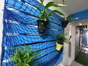 Hostel Simple Olinda