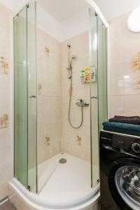 Romantic Old Town centre apartment