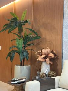 Casa e Canella - Apartamento Aconchegante Pé na Areia - Ilhéus