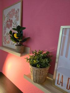 Hostel Bertha-Marie Flamingo Lounge