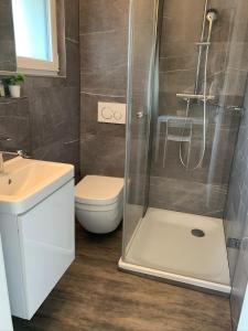 smartroom Apartment in Wettingen