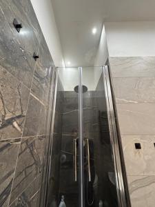 International Naples