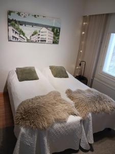 Cozy apartment with sauna and free parking