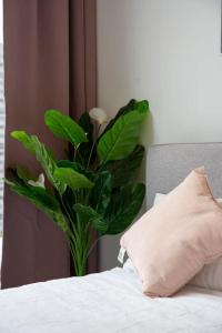 Bright and Cozy City View 3BR Apartment 11605