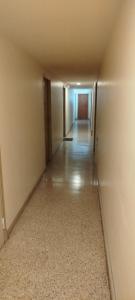 Bolivar Beach - Mar del Plata