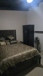 Allende Cozy Suite - Entrada privada y patio