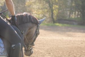 Apartment Poprad - Tatra Elegant, Near High Tatras, Free Parking, Modern Stay