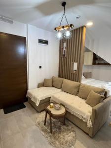 Apartman PETKOVIĆ NLux 110 Milmari resort