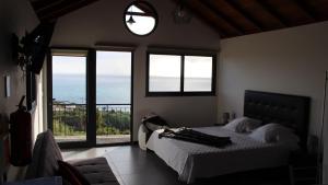 Adega do Avô 2 Madeira