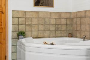 852-Bedsted-Thy-Istrupvej-35