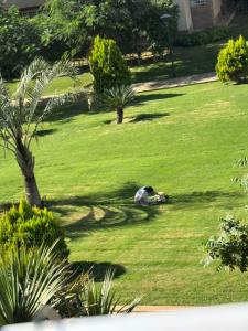 Comfort Garden Apartment - Madinaty