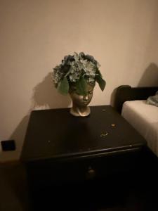 Huberto Apsilankimo vieta