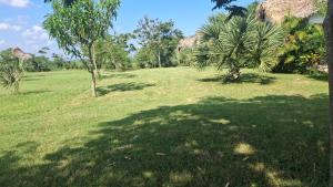 Hotel - CABAÑAS THAJU - HUASTECA POTOSINA