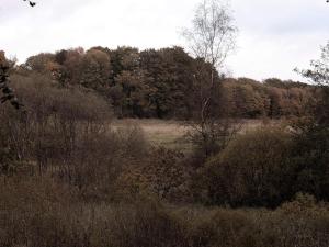 4 star holiday home in Hovborg-By Traum