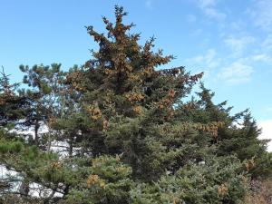 Idyllic Retreat with Whirlpool-By Traum