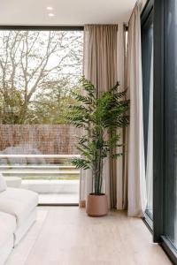 Warm family home by the sea - Villa La Madrague