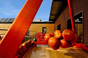 Auberge des VoyaJoueurs - 拉加西利