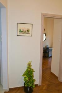 Comfy 3BR Downtown Patras Ypsila Alonia View