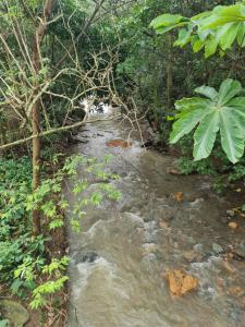 Apartamento moderno con vista al río, piscinas y gym Costa Rica