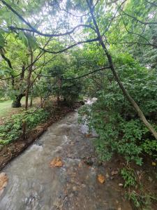 Apartamento moderno con vista al río, piscinas y gym Costa Rica